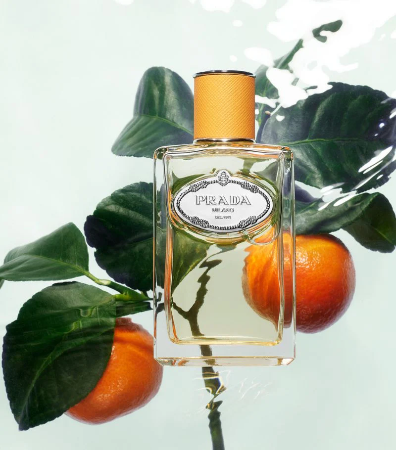 Prada Infusion De Mandarine Eau De Parfum 100ML - الصورة 2